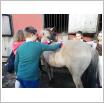 Galeria zdjęć: . Link otwiera powiększoną wersję zdjęcia.