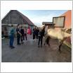 Galeria zdjęć: . Link otwiera powiększoną wersję zdjęcia.