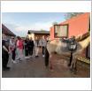 Galeria zdjęć: . Link otwiera powiększoną wersję zdjęcia.
