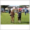 Galeria zdjęć: Nordic Walking dla SENIORA. Link otwiera powiększoną wersję zdjęcia.