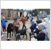 Galeria zdjęć: Wyjazd do Mini Zoo Egzotarium. Link otwiera powiększoną wersję zdjęcia.