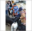 Galeria zdjęć: Wyjazd do Mini Zoo Egzotarium. Link otwiera powiększoną wersję zdjęcia.