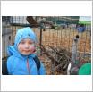 Galeria zdjęć: Wyjazd do Mini Zoo Egzotarium. Link otwiera powiększoną wersję zdjęcia.