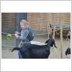 Galeria zdjęć: Wyjazd do Mini Zoo Egzotarium. Link otwiera powiększoną wersję zdjęcia.