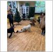 Galeria zdjęć: Przedstawienie 