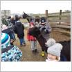Galeria zdjęć: Smocze Ferie - wyjazd do Alpakarni. Link otwiera powiększoną wersję zdjęcia.