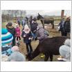 Galeria zdjęć: Smocze Ferie - wyjazd do Alpakarni. Link otwiera powiększoną wersję zdjęcia.