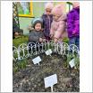 Galeria zdjęć:  Dzień Wiosny w Samorządowym Klubie Dziecięcym w Gorzkowicach. Link otwiera powiększoną wersję zdjęcia.
