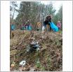 Galeria zdjęć: Czysty Grabostów- akcja sprzątania. Link otwiera powiększoną wersję zdjęcia.
