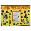 Galeria zdjęć: Zbiórka karmy dla bezdomnych zwierząt - SP Gorzkowice. Link otwiera powiększoną wersję zdjęcia.