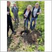 Galeria zdjęć: . Link otwiera powiększoną wersję zdjęcia.