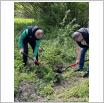 Galeria zdjęć: . Link otwiera powiększoną wersję zdjęcia.