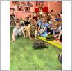 Galeria zdjęć: Pokaz zwierzątek z zoo  udział dzieci w spotkaniu z Samorządowego Klubu Dziecięcego w Gorzkowicach. Link otwiera powiększoną wersję zdjęcia.
