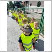 Galeria zdjęć: . Link otwiera powiększoną wersję zdjęcia.