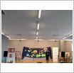 Galeria zdjęć: . Link otwiera powiększoną wersję zdjęcia.