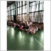 Galeria zdjęć: . Link otwiera powiększoną wersję zdjęcia.