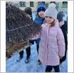 Galeria zdjęć: Przedszkolaki dokarmiają ptaki. Link otwiera powiększoną wersję zdjęcia.
