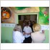 Galeria zdjęć: . Link otwiera powiększoną wersję zdjęcia.