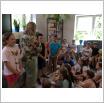 Galeria zdjęć: . Link otwiera powiększoną wersję zdjęcia.