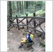Galeria zdjęć: . Link otwiera powiększoną wersję zdjęcia.