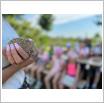 Galeria zdjęć: Wycieczka sześciolatków z Przedszkola Samorządowego w Gorzkowicach do ogrodu zoologicznego w Borysewie. Link otwiera powiększoną wersję zdjęcia.