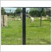 Galeria zdjęć: Wycieczka sześciolatków z Przedszkola Samorządowego w Gorzkowicach do ogrodu zoologicznego w Borysewie. Link otwiera powiększoną wersję zdjęcia.