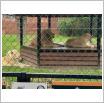 Galeria zdjęć: Wycieczka sześciolatków z Przedszkola Samorządowego w Gorzkowicach do ogrodu zoologicznego w Borysewie. Link otwiera powiększoną wersję zdjęcia.
