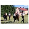 Galeria zdjęć: . Link otwiera powiększoną wersję zdjęcia.