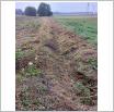 Galeria zdjęć: . Link otwiera powiększoną wersję zdjęcia.
