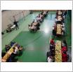 Galeria zdjęć: PÓŁFINAŁ WOJEWÓDZTWA ŁÓDZKIEGO  W DRUŻYNOWEJ GRZE W SZACHY - SP GORZKOWICE. Link otwiera powiększoną wersję zdjęcia.