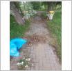Galeria zdjęć: . Link otwiera powiększoną wersję zdjęcia.