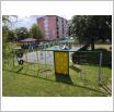Galeria zdjęć: . Link otwiera powiększoną wersję zdjęcia.