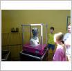 Galeria zdjęć: . Link otwiera powiększoną wersję zdjęcia.