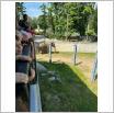 Galeria zdjęć: Wycieczka dzieci z Przedszkola Samorządowego w Gorzkowicach  do Orientarium oraz park rozrywki Hopa Lupa w Łodzi. Link otwiera powiększoną wersję zdjęcia.