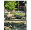 Galeria zdjęć: Wycieczka dzieci z Przedszkola Samorządowego w Gorzkowicach  do Orientarium oraz park rozrywki Hopa Lupa w Łodzi. Link otwiera powiększoną wersję zdjęcia.