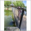 Galeria zdjęć: Wycieczka dzieci z Przedszkola Samorządowego w Gorzkowicach do ogrodu zoologicznego w Borysewie. Link otwiera powiększoną wersję zdjęcia.