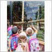 Galeria zdjęć: Wycieczka dzieci z Przedszkola Samorządowego w Gorzkowicach do ogrodu zoologicznego w Borysewie. Link otwiera powiększoną wersję zdjęcia.