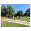 Galeria zdjęć: Wycieczka dzieci z Przedszkola Samorządowego w Gorzkowicach do ogrodu zoologicznego w Borysewie. Link otwiera powiększoną wersję zdjęcia.