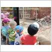 Galeria zdjęć: Wycieczka dzieci z Przedszkola Samorządowego w Gorzkowicach do ogrodu zoologicznego w Borysewie. Link otwiera powiększoną wersję zdjęcia.