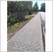 Galeria zdjęć: . Link otwiera powiększoną wersję zdjęcia.