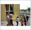 Galeria zdjęć: . Link otwiera powiększoną wersję zdjęcia.